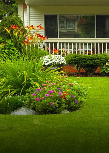 Lafayette Hill Landscaping