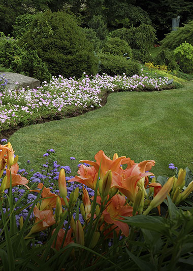Newtown Square Landscaping